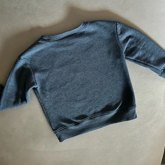 3t triceratops sweatshirt Jumping Beans great condition. - Picture 5 of 6